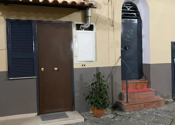 The Paradise House
